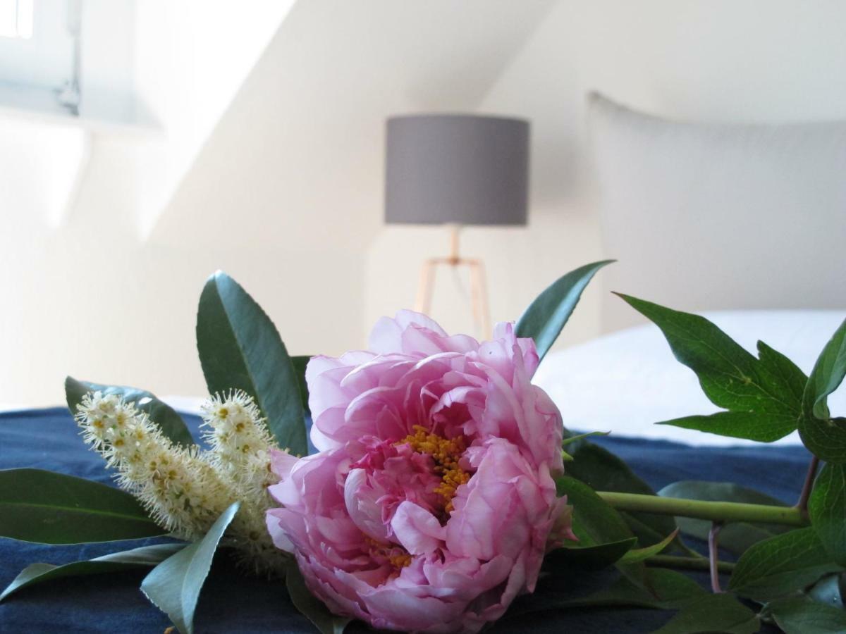 Hygge Apartments Bonn Extérieur photo